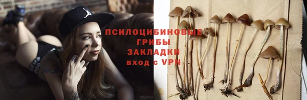 mix Арсеньев